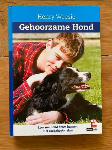 Gehoorzame hond - Henry Weesie beschikbaar voor biedingen