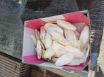 Sepia's papegaaien, Dieren en Toebehoren, Ophalen, Zo goed als nieuw
