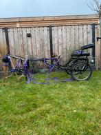 Compleet mentuig mini shetlander met sulky, Dieren en Toebehoren, Paarden en Pony's | Hoofdstellen en Tuigage, Ophalen, Gebruikt