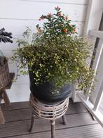 Prachtig nieuwe metalen pot met ringen, Tuin en Terras, Rond, Nieuw, Ophalen of Verzenden, Metaal