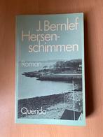 J. Bernlef - Hersenschimmen (Roman), Boeken, Ophalen of Verzenden, Zo goed als nieuw, Nederland