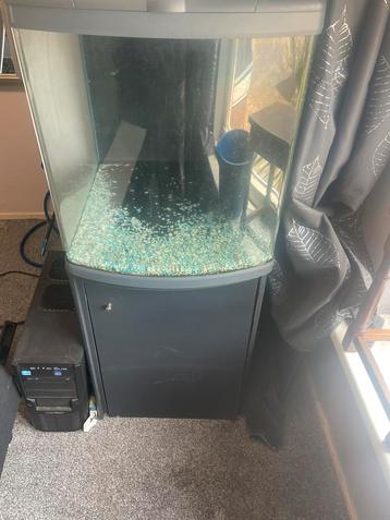 Aquarium 130l beschikbaar voor biedingen