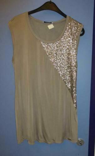 Liu Jo zilver kleurige top een baan pailletjes mt S 25821, Kleding | Dames, Tops, Zo goed als nieuw, Maat 36 (S), Grijs, Zonder mouw