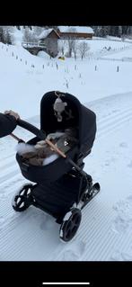 Axso kinderwagen ski’s /buggy ski’s  TE HUUR!, Ophalen of Verzenden, Ski's, Zo goed als nieuw, Skiën