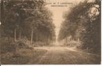 Laan in T Liesbosch Princenhage, Ophalen of Verzenden, 1920 tot 1940, Gelopen, Gelderland