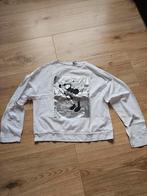 Shirt Zara, maat 11-12, Kinderen en Baby's, Kinderkleding | Maat 146, Ophalen of Verzenden, Zo goed als nieuw, Zara, Shirt of Longsleeve
