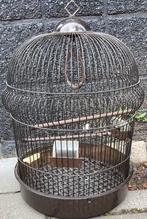 VOGELKOOI, leuk model. OPHALEN VOOR 10 EURO!, Ophalen, Gebruikt, Metaal, Vogelkooi