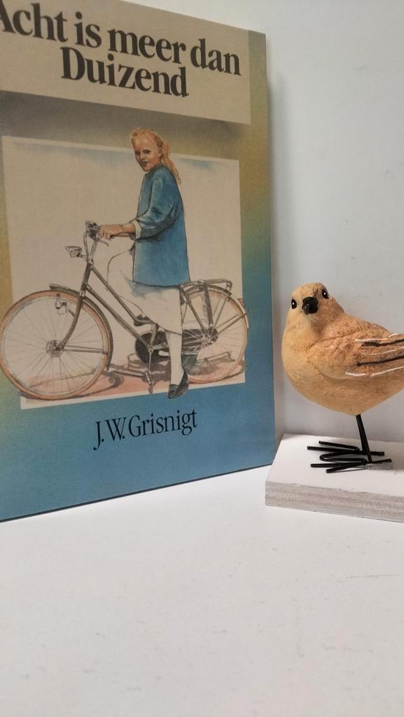 Grisnigt, J.W.; Acht is meer dan Duizend, Boeken, Kinderboeken | Jeugd | 10 tot 12 jaar, Gelezen, Ophalen of Verzenden