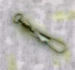 kogel gelagerde speldwartels, nieuw, Watersport en Boten, Hengelsport | Zeevissen, Ophalen of Verzenden, Nieuw, Overige typen