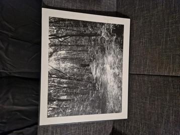Foto schilderij zonder glasplaat pf plexiglas aan de voorkan beschikbaar voor biedingen