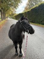 Gezocht!! Bijrijdertje Chaam Noord-Brabant, Dieren en Toebehoren, Ophalen, Nieuw, Overige soorten
