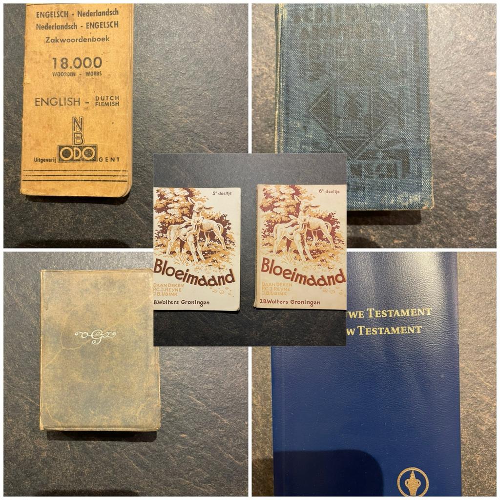 Oude woordenboeken, Nieuwe Testament & Bloeimaand boekjes, Boeken, Woordenboeken, Ophalen, Gelezen, Nederlands