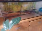 Terrarium, Dieren en Toebehoren, Reptielen en Amfibieën | Toebehoren, Ophalen, Zo goed als nieuw, Terrarium of Paludarium