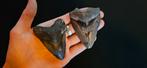 Megalodon tanden, Verzamelen, Mineralen en Fossielen, Ophalen of Verzenden