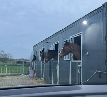 Stal container 12 meter HC beschikbaar voor biedingen