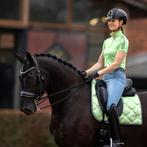 Gezocht mrs ros setje lime green, Verzenden