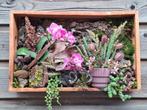Wandpaneel met Orchidee en Hangplantje, N.v.t., N.v.t., Nieuw, Ophalen of Verzenden