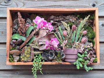 Wandpaneel met Orchidee en Hangplantje beschikbaar voor biedingen