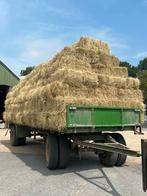 Hooi, Dieren en Toebehoren, Ophalen of Verzenden, Vee