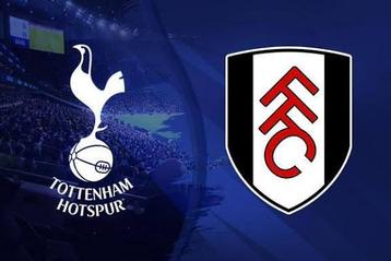 Tottenham Hotspur - Fulham 2 tickets beschikbaar voor biedingen
