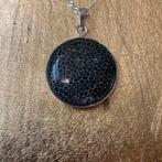 Koraal fossiel hanger beschermt intuïtie sjamaan healing, Nieuw, Ophalen of Verzenden, Met edelsteen, Grijs