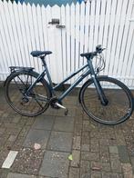 Pegasus Premio SL [55cm] Dames Trekkingfiets., 28 inch, Meer dan 20 versnellingen, Ophalen, Overige merken