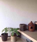 Vintage bloempotten kwaliteit uniek jaren vijftig, Rond, Binnen, Ophalen of Verzenden, Zo goed als nieuw