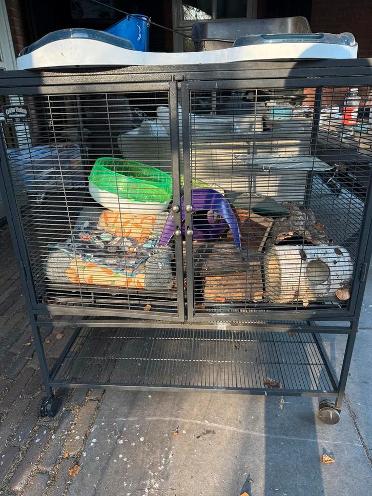 Knaagdier kooien, Dieren en Toebehoren, Knaagdieren en Konijnen | Hokken en Kooien, Kooi, 60 tot 90 cm, 75 tot 110 cm, Cavia, Chinchilla