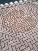 Pompeblèd (klimrek), Tuin en Terras, Ophalen, Nieuw, Minder dan 10 meter, Draad