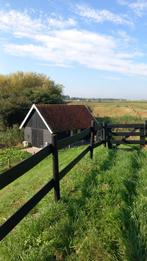 Ponyweide met box en stalletje te huur, Vianen (bij Utrecht), Dieren en Toebehoren, Stalling en Weidegang, Weidegang, 2 of 3 paarden of pony's