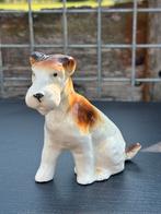 Foxterrier Beeldjes Porselein - Woondecoratie, Antiek en Kunst, Ophalen of Verzenden