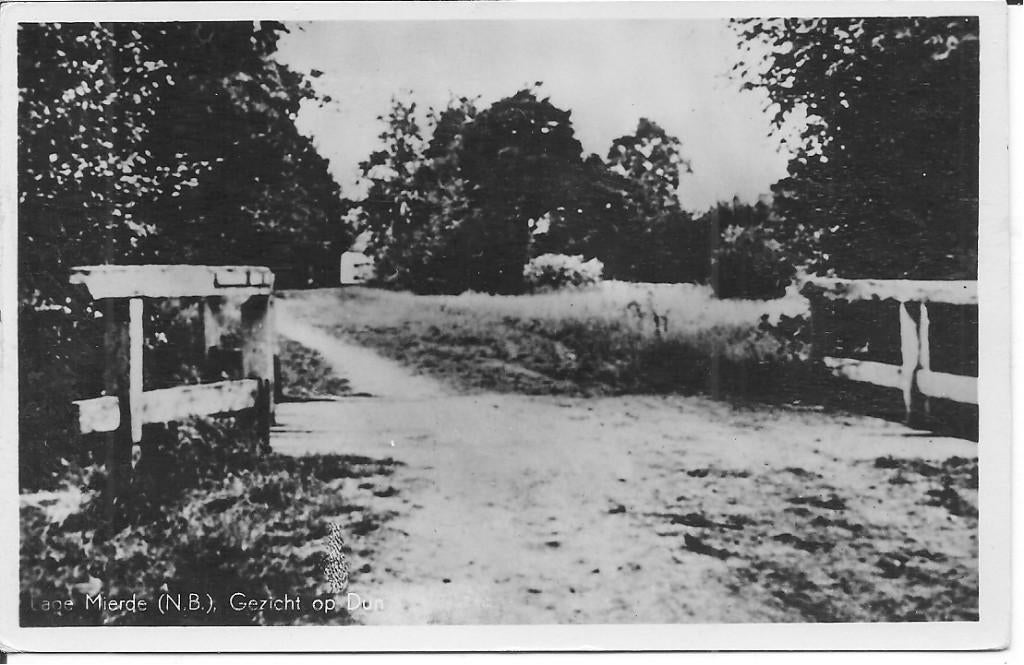Lage Miede  Gezicht op Dun., Ophalen of Verzenden, 1940 tot 1960, Gelopen, Noord-Brabant