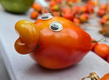 Dikke lippen Pomodori tomaat! beschikbaar voor biedingen