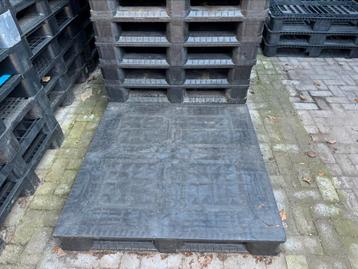 Kunststofpallets gesloten bovendek beschikbaar voor biedingen