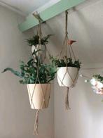 Plantenhangers van jute touw in diverse lengtes, Nieuw !, Huis en Inrichting, Kamerplanten, Overige soorten, Minder dan 100 cm