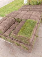 Graszoden vandaag nog leggen, gras op voorraad, Tuin en Terras, Gras en Kunstgras, Ophalen of Verzenden, Zo goed als nieuw