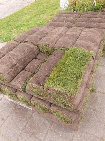 Graszoden vandaag nog leggen, gras op voorraad  beschikbaar voor biedingen