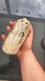 Ivoor mamoet stuk, Ophalen of Verzenden