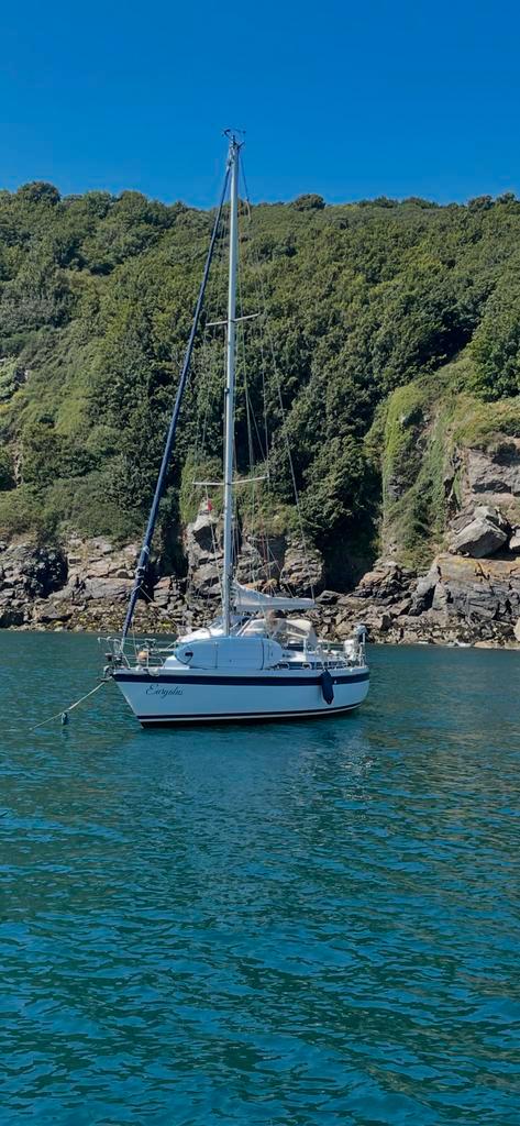 1992 Compromis 999 Kajuitzeiljacht, Watersport en Boten, Kajuitzeilboten en Zeiljachten, Gebruikt, Tourjacht of Cruiser, Polyester