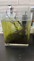 Aquarium met alles, Dieren en Toebehoren, Vissen | Aquaria en Toebehoren, Ophalen, Zo goed als nieuw, Leeg aquarium