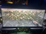 Juwel Aquarium Primo 110, Ophalen, Gebruikt, Leeg aquarium