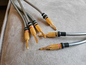Qed Reference XT40I custom 2m kabel beschikbaar voor biedingen