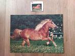 puzzel 104 stukjes paard, Kinderen en Baby's, Speelgoed | Kinderpuzzels, Gebruikt, Ophalen