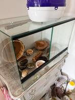 Terrarium inclusief spullen voor o.a. chinese dwerghamster, Dieren en Toebehoren, Reptielen en Amfibieën | Toebehoren, Ophalen