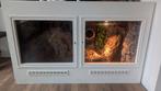 Terrarium 162x82x101,5, Dieren en Toebehoren, Ophalen, Gebruikt