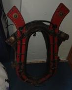 Te koop grote paardenhaam voor 100 euro, Ophalen