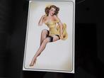 mooie USA pin-up pinup kaart, Verzenden, 1980 tot heden, Ongelopen, Overige thema's