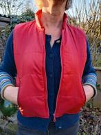 Rode bodywarmer, Kleding | Dames, Bodywarmers, Ophalen of Verzenden