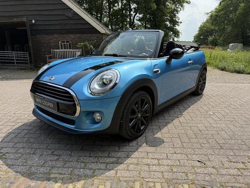 MINI Cabrio 1.5 Cooper Pepper.JCW int,Led,camera,Head up ! V, Auto's, Mini, Bedrijf, Te koop, Cabrio, ABS, Achteruitrijcamera