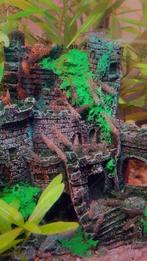 Garnalen mix (superaanbieding!!), Dieren en Toebehoren, Kreeft, Krab of Garnaal, Zoetwatervis, Schoolvis